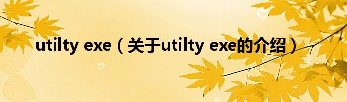 utilty exe（关于utilty exe的介绍）
