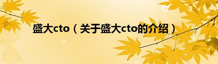 盛大cto（关于盛大cto的介绍）