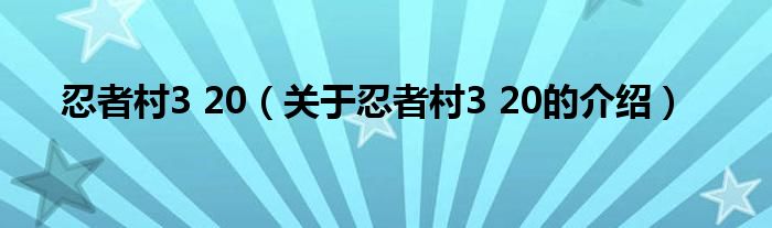 忍者村3 20（关于忍者村3 20的介绍）