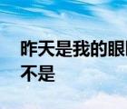 昨天是我的眼睛骗了我这句话的意思是:昨天不是