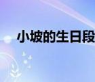 小坡的生日段落摘录（小坡的生日全文）