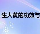 生大黄的功效与作用（熟大黄的功效与作用）