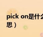 pick on是什么意思英语（pick on是什么意思）