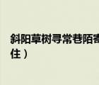 斜阳草树寻常巷陌寄奴是指（斜阳草树寻常巷陌人道寄奴曾住）