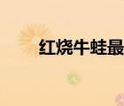 红烧牛蛙最正宗的做法（红烧牛蛙）