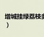 增城挂绿荔枝多少钱一斤（增城挂绿荔枝价格）