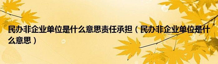 民办非企业单位是什么意思责任承担（民办非企业单位是什么意思）