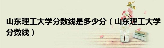 山东理工大学分数线是多少分（山东理工大学分数线）