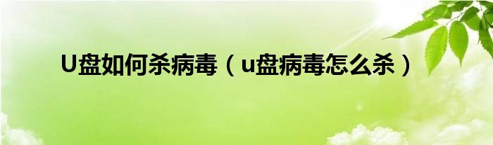 U盘如何杀病毒（u盘病毒怎么杀）