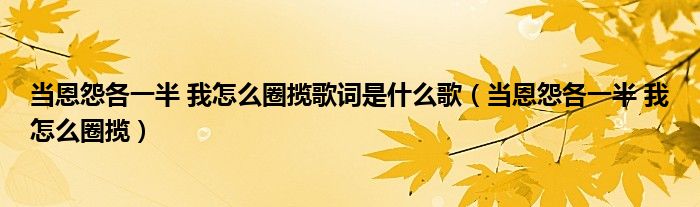 当恩怨各一半 我怎么圈揽歌词是什么歌（当恩怨各一半 我怎么圈揽）