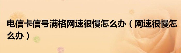 电信卡信号满格网速很慢怎么办（网速很慢怎么办）