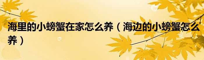 海里的小螃蟹在家怎么养（海边的小螃蟹怎么养）