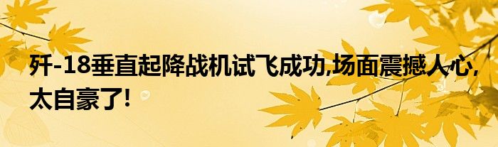 歼-18垂直起降战机试飞成功,场面震撼人心,太自豪了!