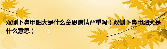 双侧下鼻甲肥大是什么意思病情严重吗（双侧下鼻甲肥大是什么意思）