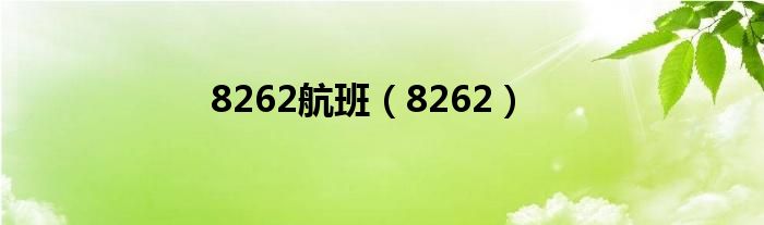 8262航班（8262）