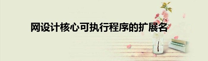网设计核心可执行程序的扩展名