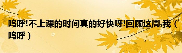 呜呼!不上课的时间真的好快呀!回顾这周,我（呜呼）