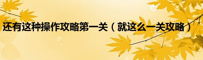 还有这种操作攻略第一关（就这么一关攻略）