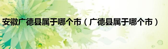安徽广德县属于哪个市（广德县属于哪个市）