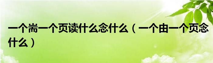 一个耑一个页读什么念什么（一个由一个页念什么）