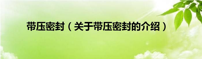 带压密封（关于带压密封的介绍）