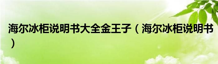 海尔冰柜说明书大全金王子（海尔冰柜说明书）