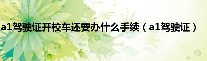 a1驾驶证开校车还要办什么手续（a1驾驶证）