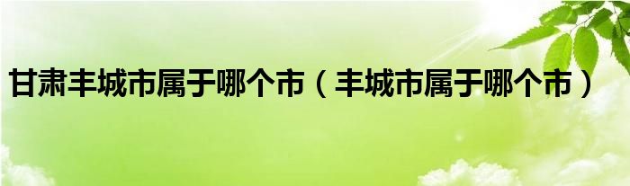 甘肃丰城市属于哪个市（丰城市属于哪个市）
