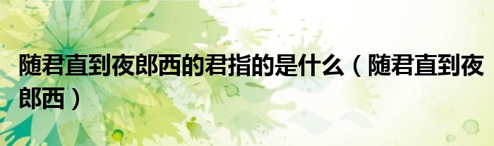 随君直到夜郎西的君指的是什么（随君直到夜郎西）