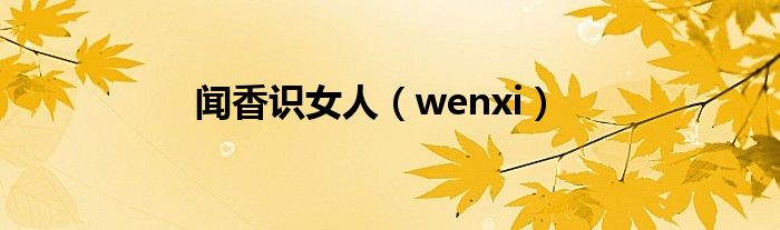 闻香识女人（wenxi）