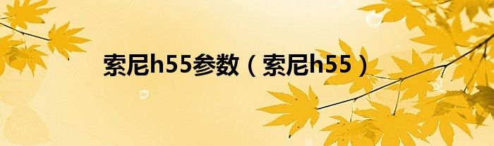 索尼h55参数（索尼h55）