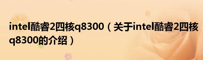 intel酷睿2四核q8300（关于intel酷睿2四核q8300的介绍）