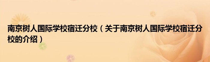 南京树人国际学校宿迁分校（关于南京树人国际学校宿迁分校的介绍）