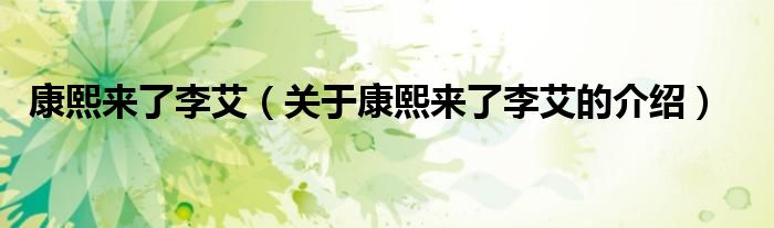 康熙来了李艾（关于康熙来了李艾的介绍）