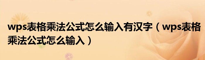 wps表格乘法公式怎么输入有汉字（wps表格乘法公式怎么输入）