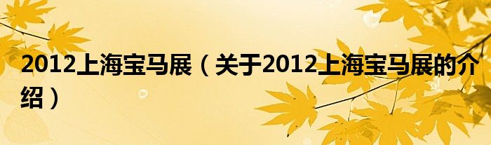 2012上海宝马展（关于2012上海宝马展的介绍）