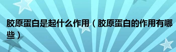 胶原蛋白是起什么作用（胶原蛋白的作用有哪些）