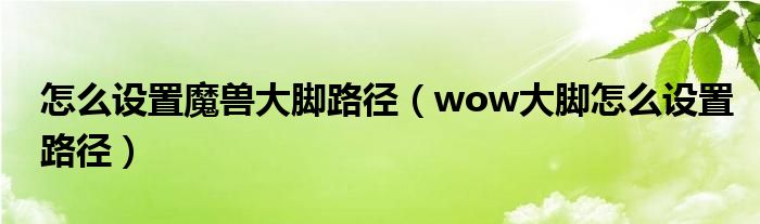 怎么设置魔兽大脚路径（wow大脚怎么设置路径）