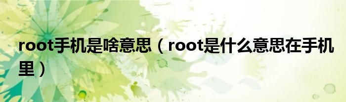 root手机是啥意思（root是什么意思在手机里）