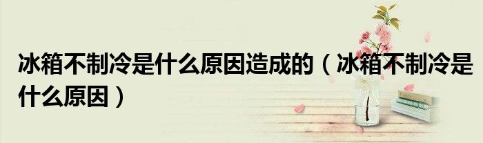 冰箱不制冷是什么原因造成的（冰箱不制冷是什么原因）