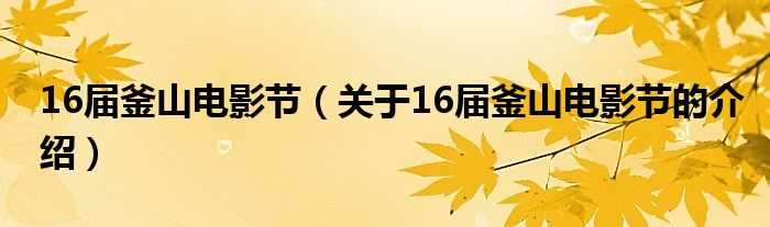 16届釜山电影节（关于16届釜山电影节的介绍）