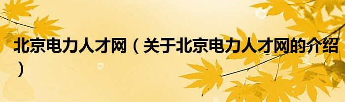 北京电力人才网（关于北京电力人才网的介绍）