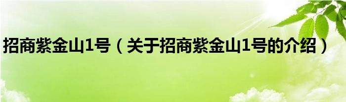 招商紫金山1号（关于招商紫金山1号的介绍）