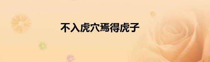 不入虎穴焉得虎子