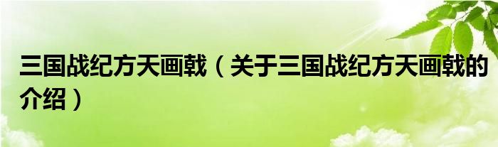 三国战纪方天画戟（关于三国战纪方天画戟的介绍）