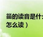 甾的读音是什么（ldquo 甾 rdquo  这个字 怎么读）