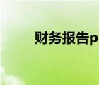 财务报告ppt示范（财务ppt模板）