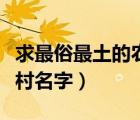 求最俗最土的农村名字大全（求最俗最土的农村名字）