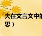 夫在文言文中的意思句首（夫在文言文中的意思）