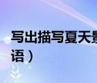 写出描写夏天景色的词语（描写夏天景色的词语）